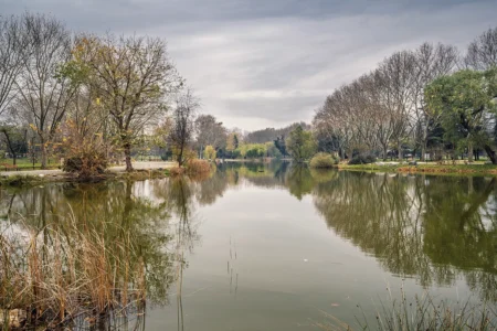 A view of a lake