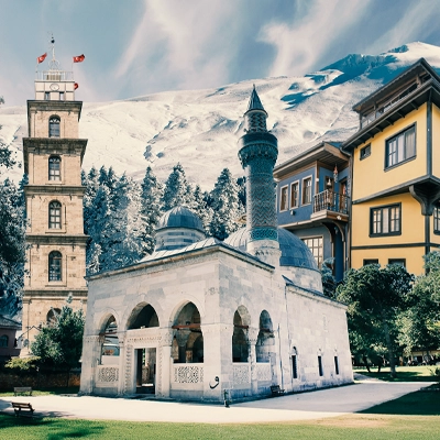 bursa